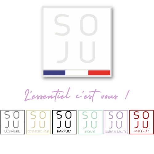 logo densemble.png